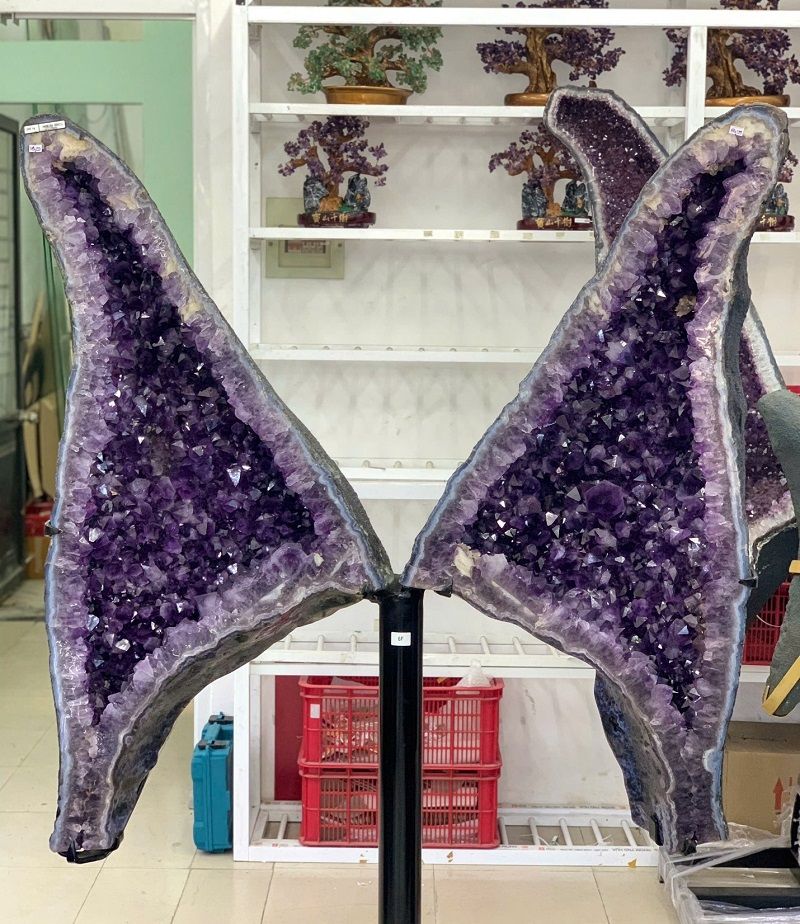 Hốc Cánh Bướm Thạch Anh Tím – kiệt tác tinh thể cho không gian thượng lưu