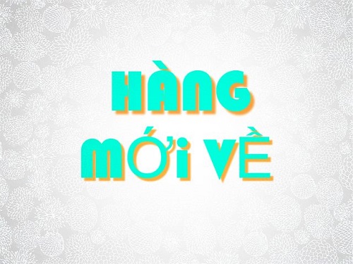 HÀNG MỚI VỀ THÁNG 03 NĂM 2023