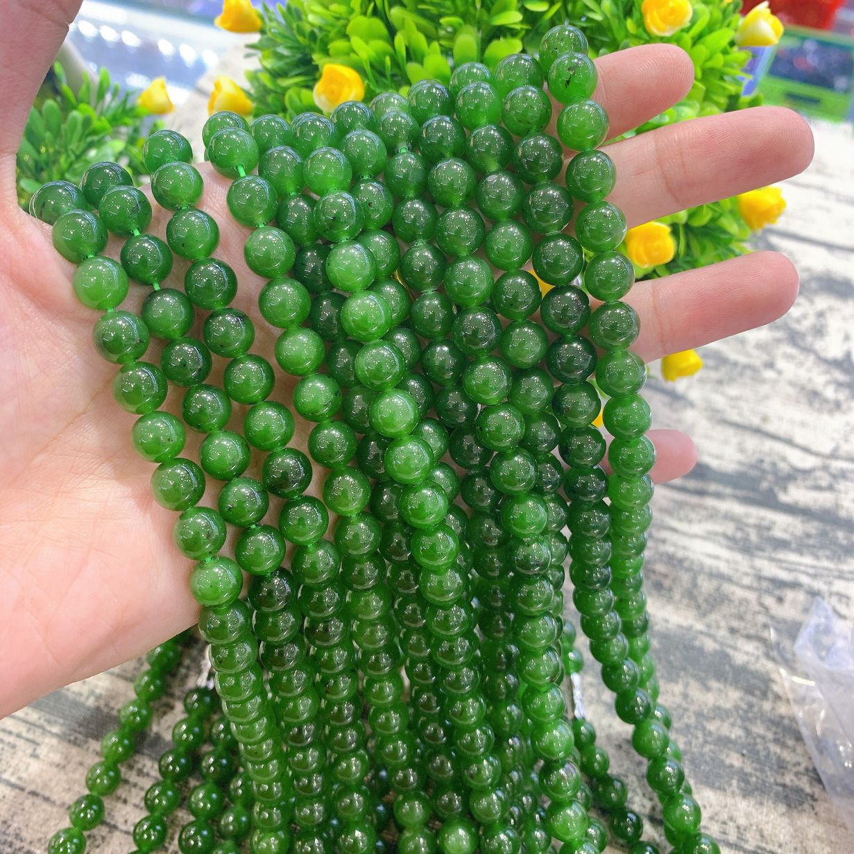 buon-si-chuoi-ngoc-bich-canada