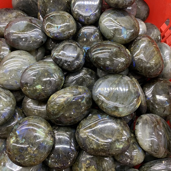 chuyen-si-soi-lon-da-xa-cu