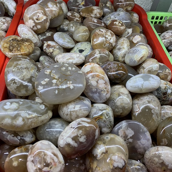 chuyen-si-soi-lon-ma-nao-hoa-dao