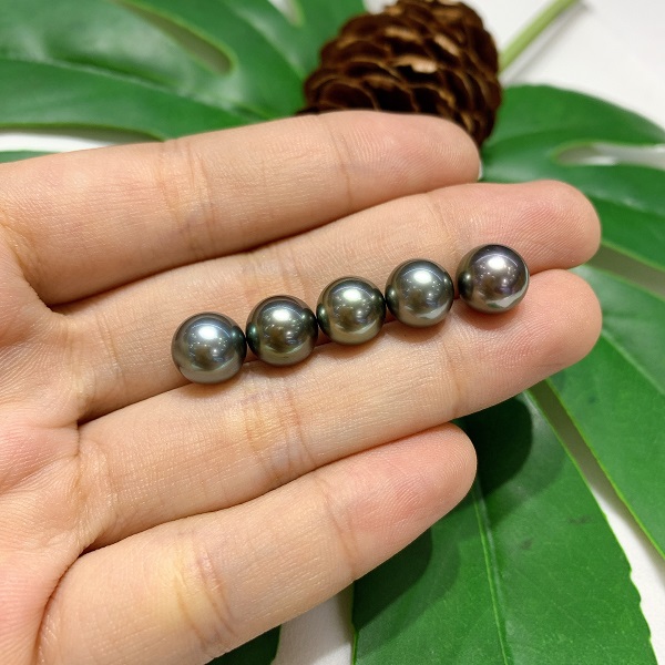 ngoc-trai-tahitian-chuan-3a-saja