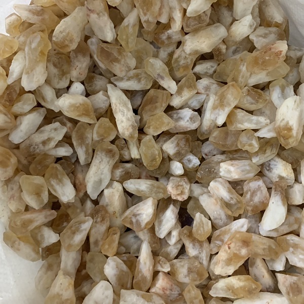 chuyen-si-soi-mam-tho-thach-anh-vang-5a