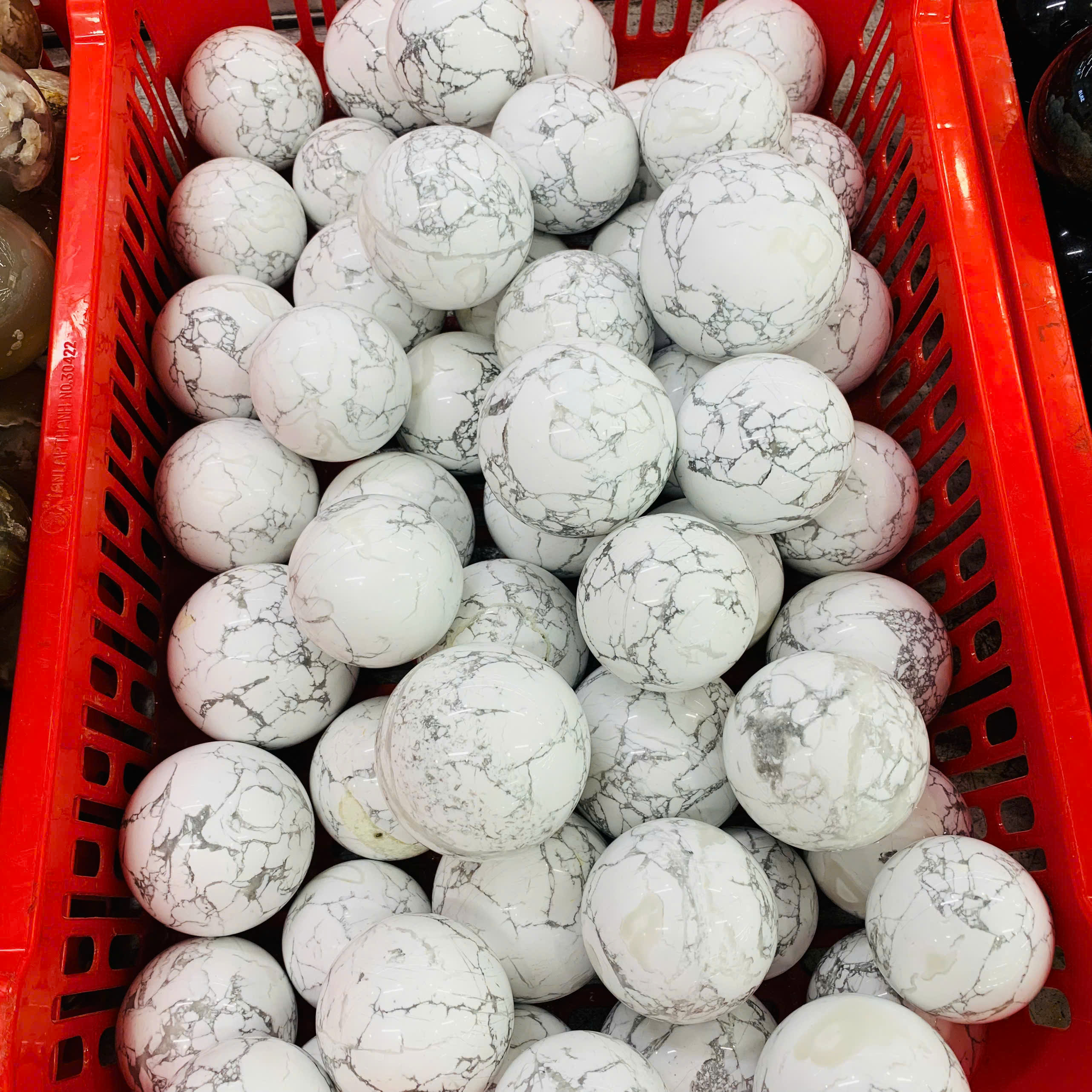 lo-cau-da-howlite-bach-tung-chat-luong