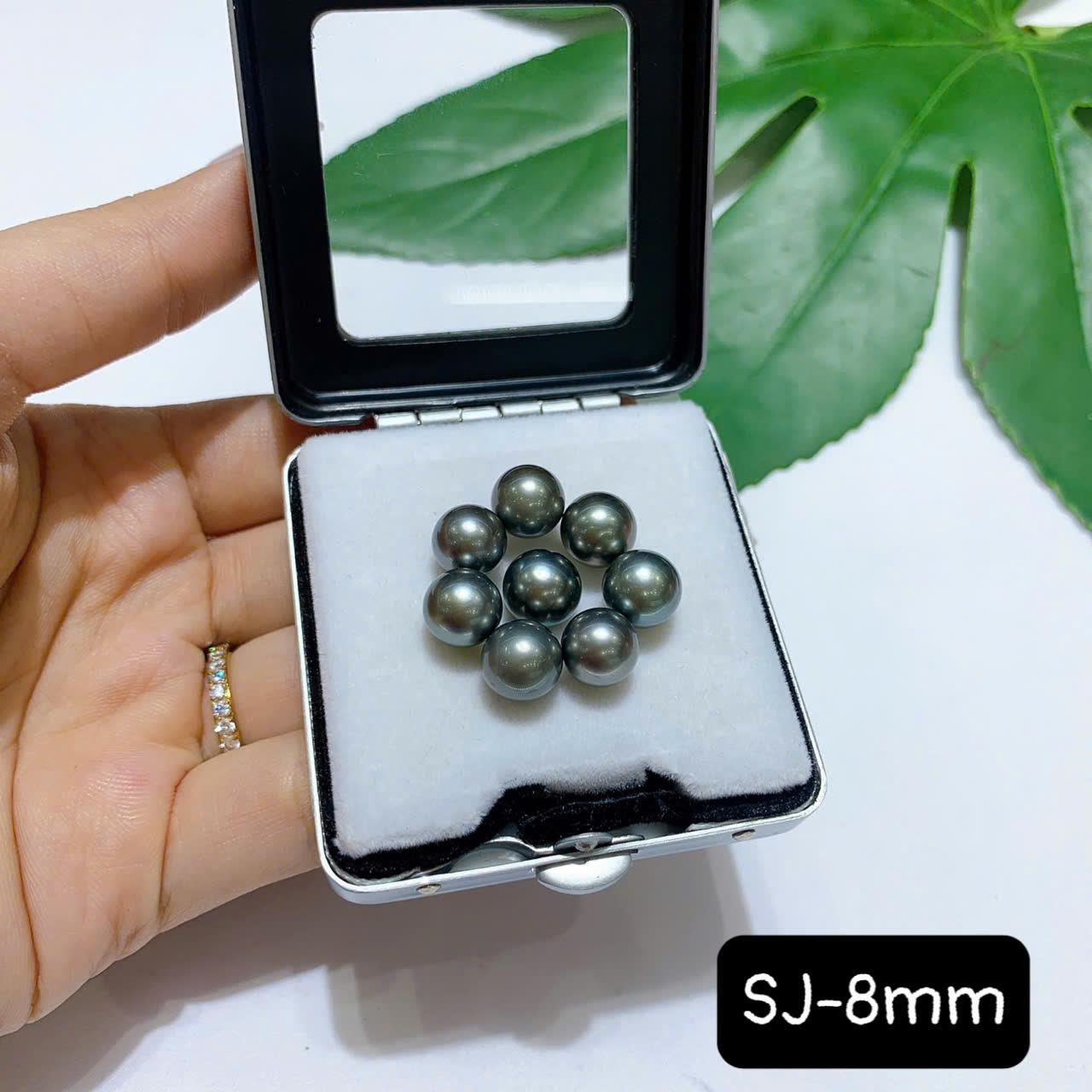 lo-ngoc-trai-den-tahitian-chat-luong-2a