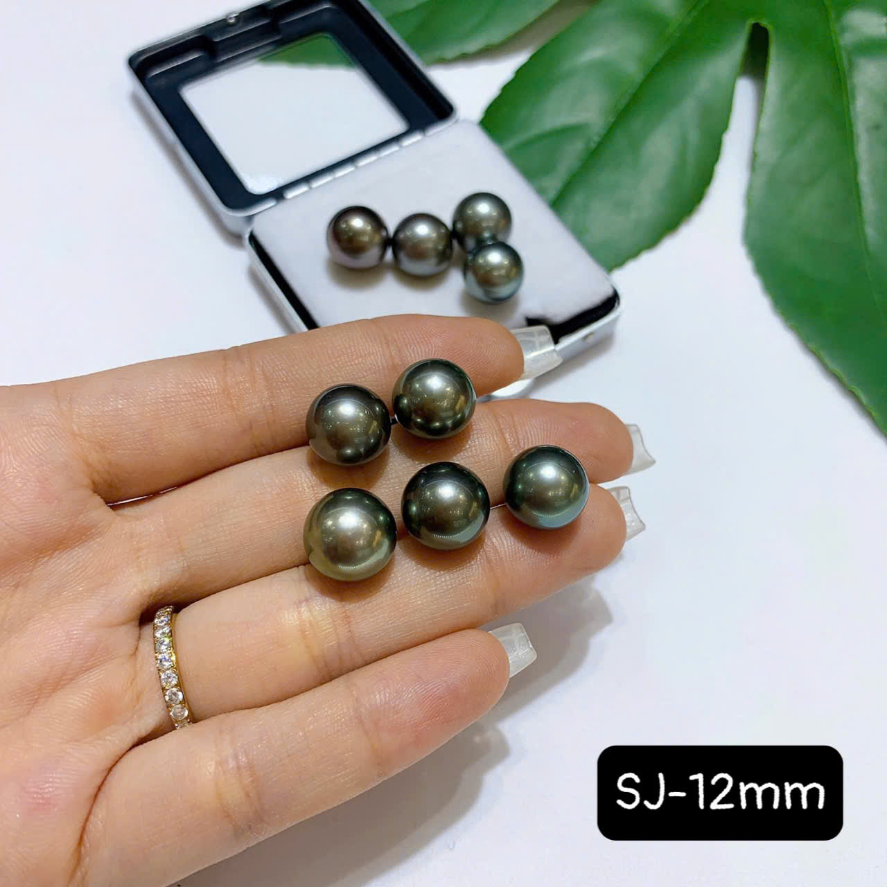 lo-ngoc-trai-taihitian-chat-luong-3a