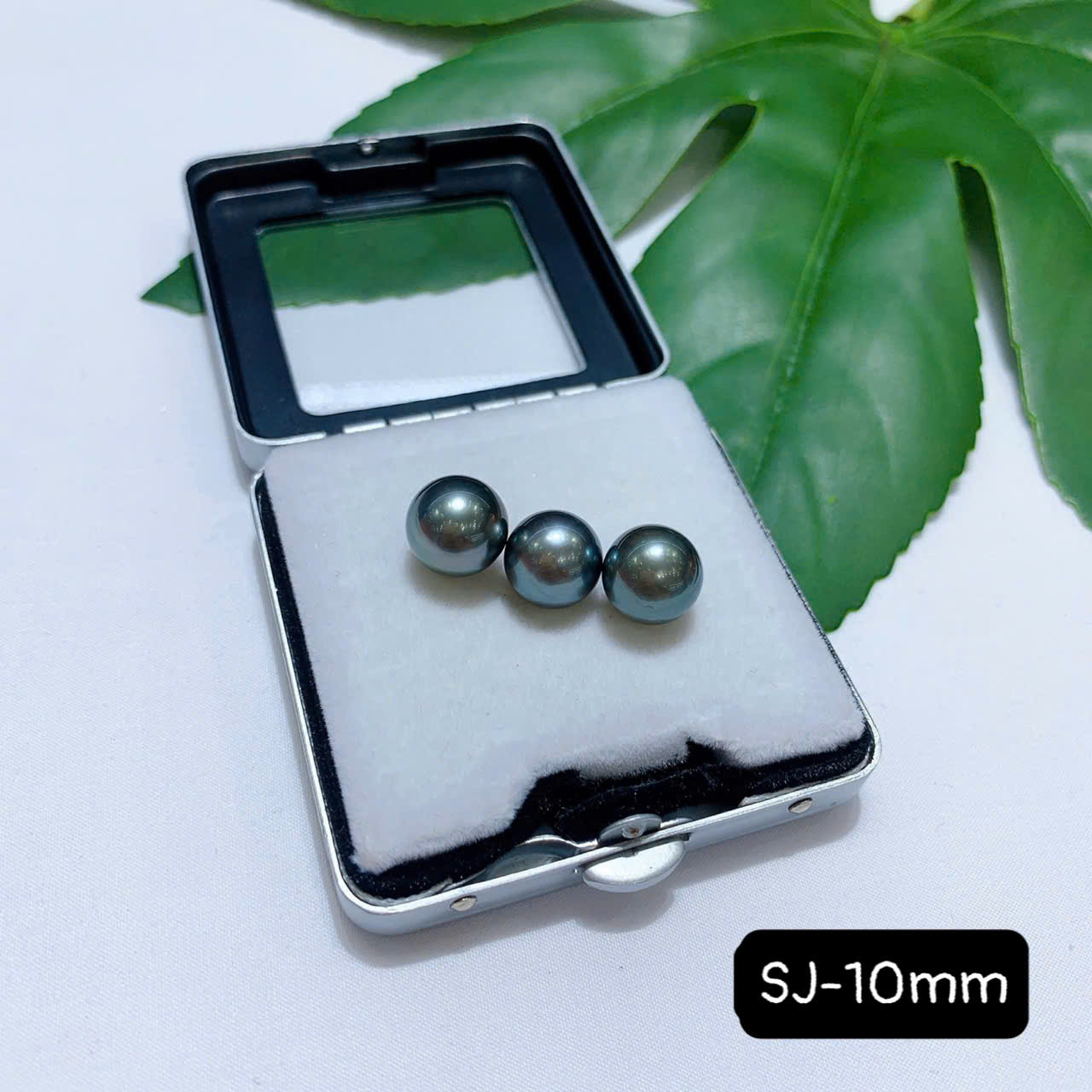 lo-ngoc-trai-den-taihitian-chat-luong-4a-cao-cap