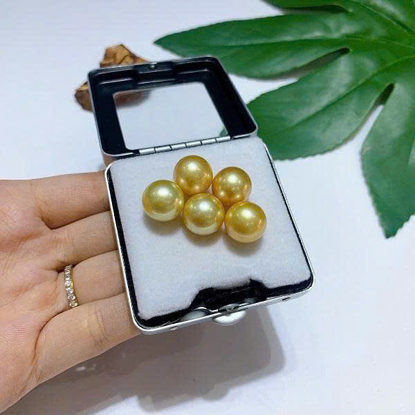 lo-ngoc-trai-vang-southsea-trai-bien-chat-luong-3a